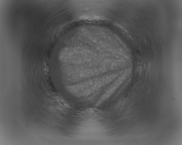 X0000073390966200608180959