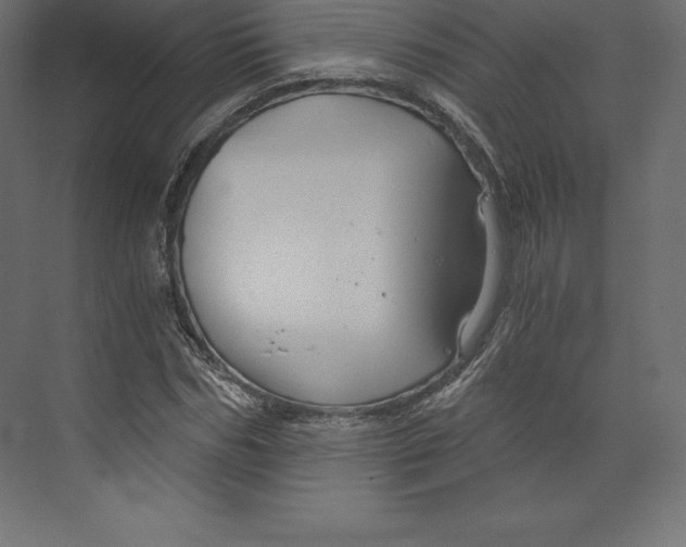 X0000073390970200608180959