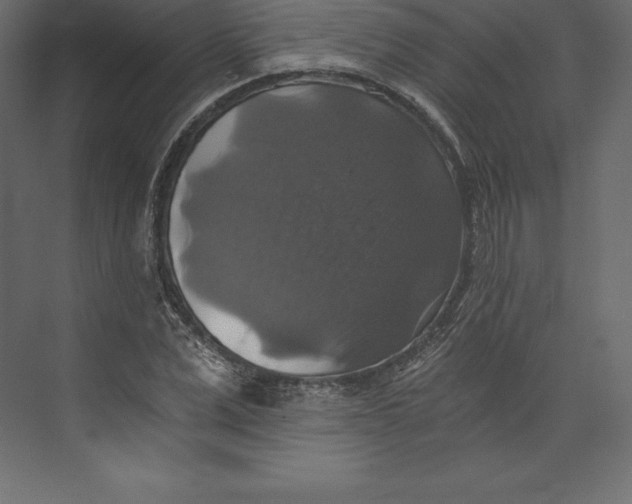 X0000073390975200608180959