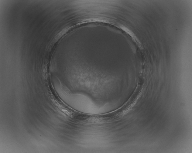 X0000073390977200608180959