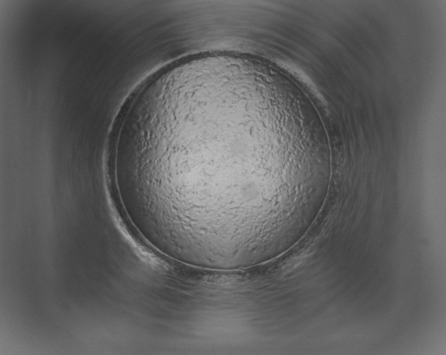 X0000073390991200608180959