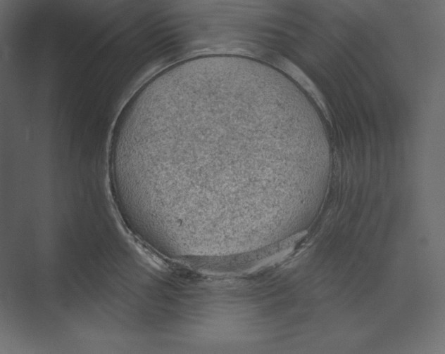 X0000073391002200608180958