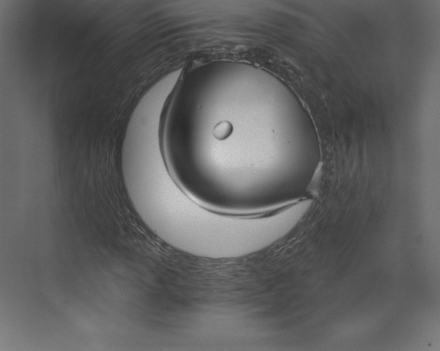 X0000073391013200608180958