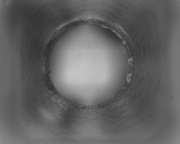 X0000073391016200608180958