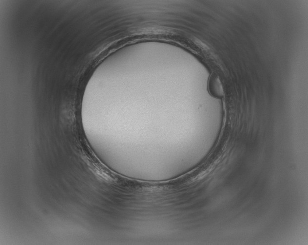X0000073391017200608180958