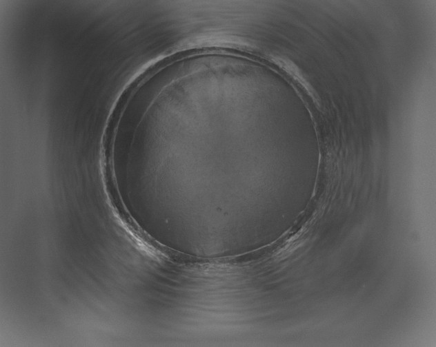 X0000073391024200608180958
