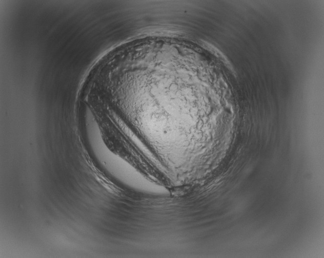 X0000073391027200608180958