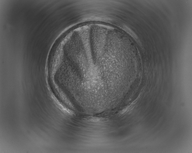 X0000073391028200608180958