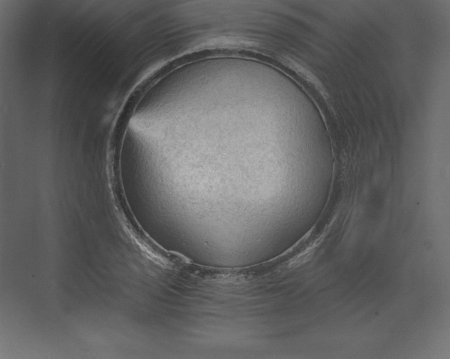 X0000073391029200608180958