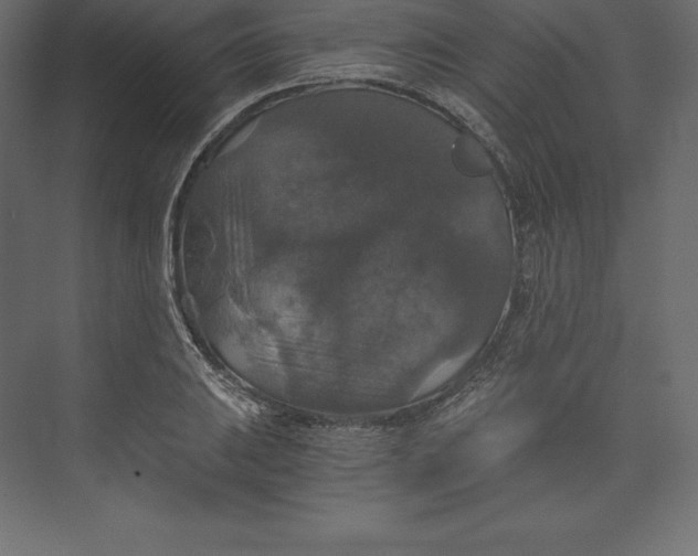 X0000073391031200608180958