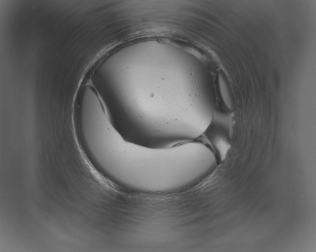 X0000073391034200608180958