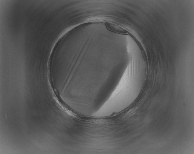 X0000073391045200608180958