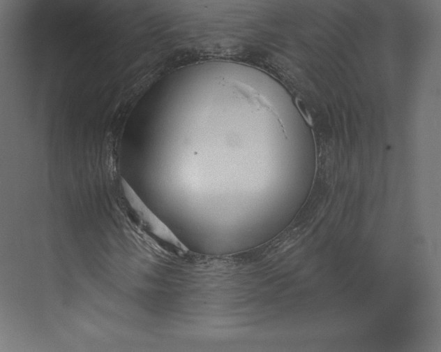 X0000073391058200608180957
