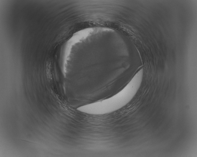 X0000073391060200608180957