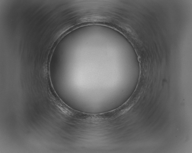X0000073391073200608180957