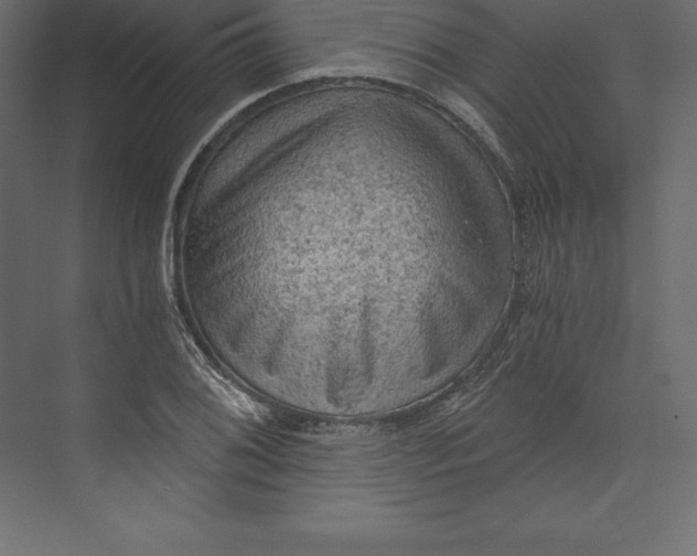X0000073391076200608180957