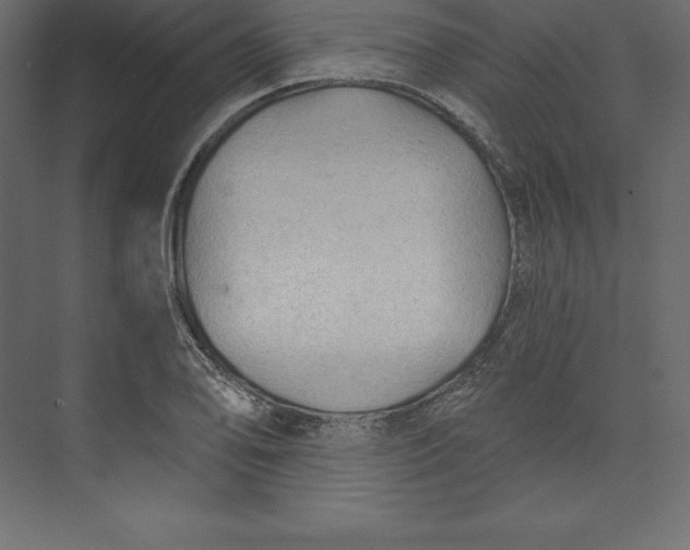 X0000073391078200608180957