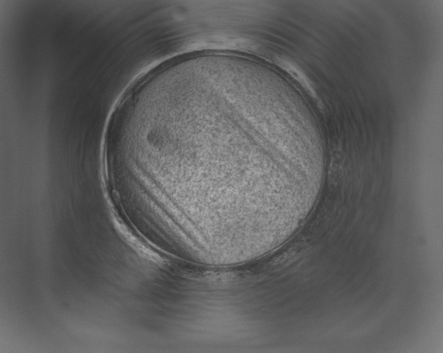 X0000073391080200608180957