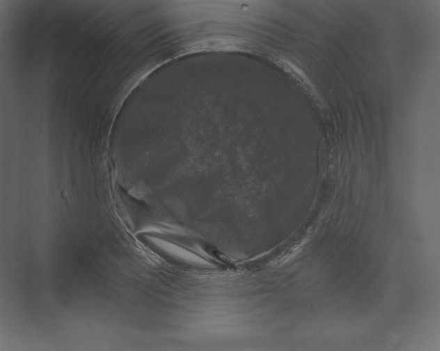 X0000073391081200608180957