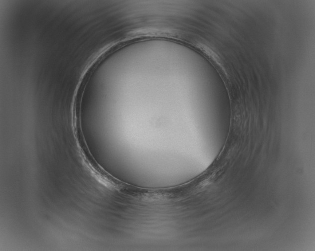 X0000073391082200608180957
