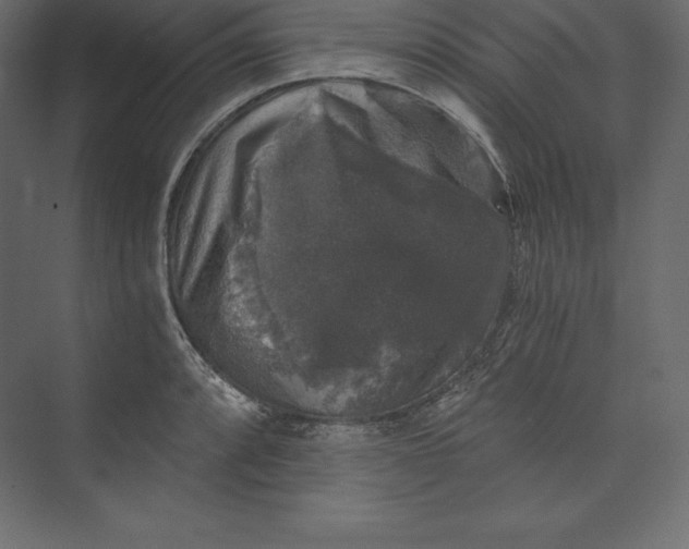 X0000073391088200608180957
