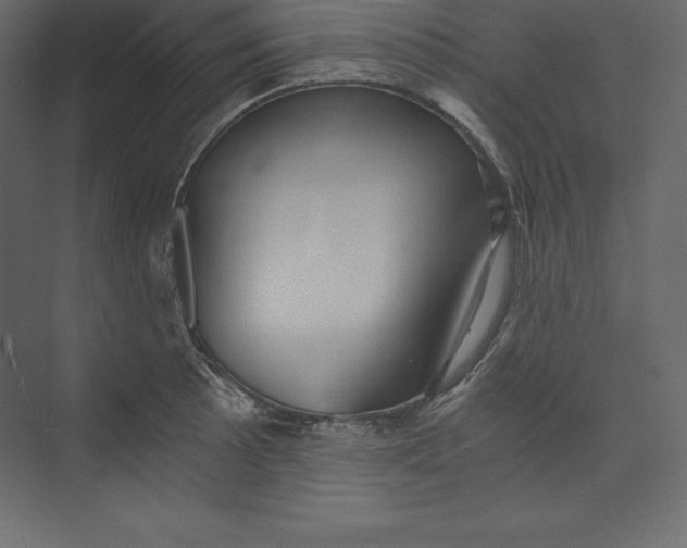 X0000073391089200608180957
