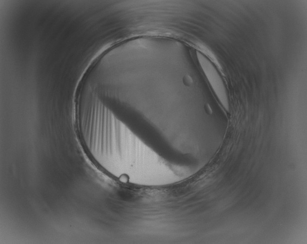 X0000073391095200608180957