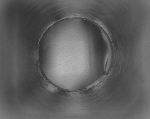 X0000073391097200608180957