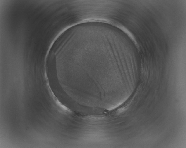 X0000073391102200608180957