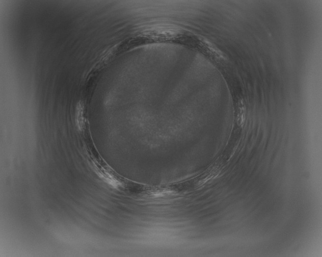 X0000073391108200608180956