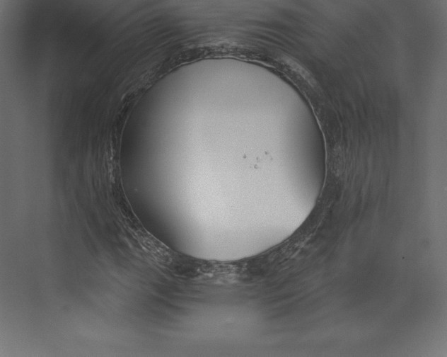 X0000073391111200608180956