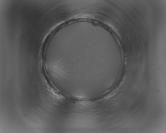 X0000073391117200608180956