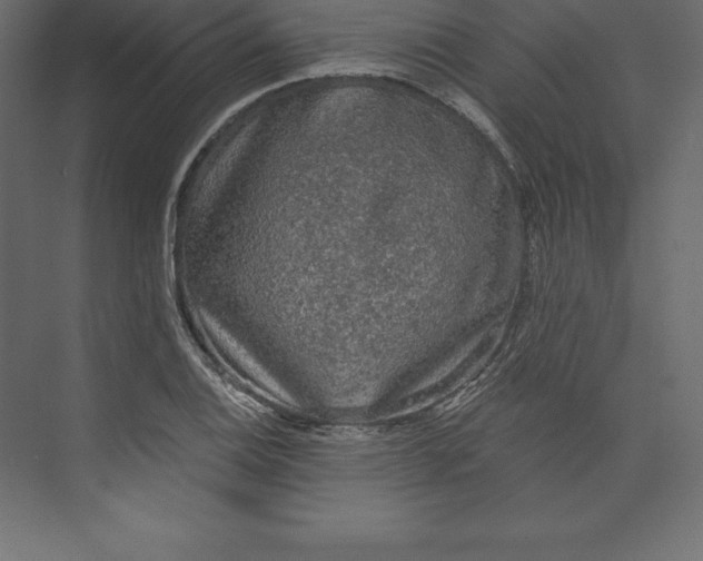 X0000073391124200608180956