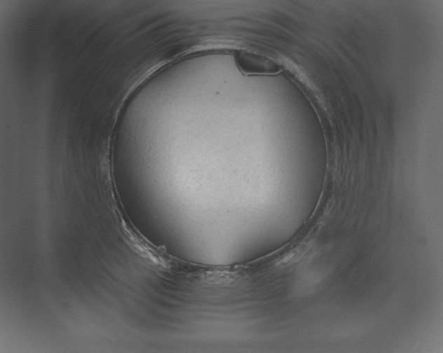 X0000073391137200608180956