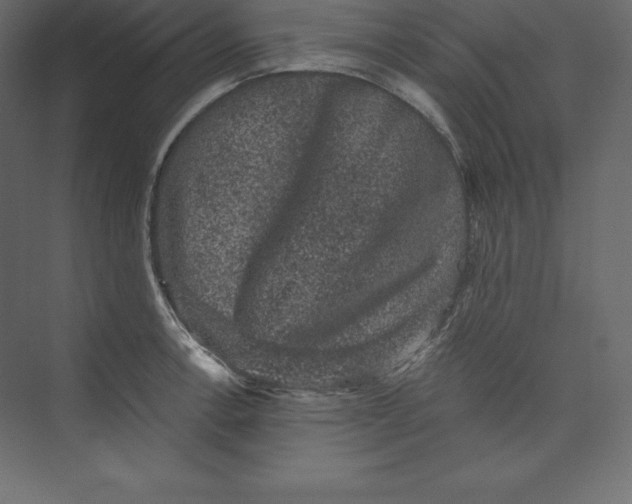 X0000073391138200608180956