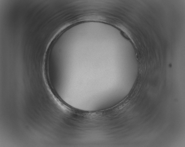 X0000073391139200608180956
