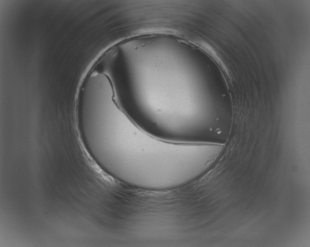X0000073391140200608180957