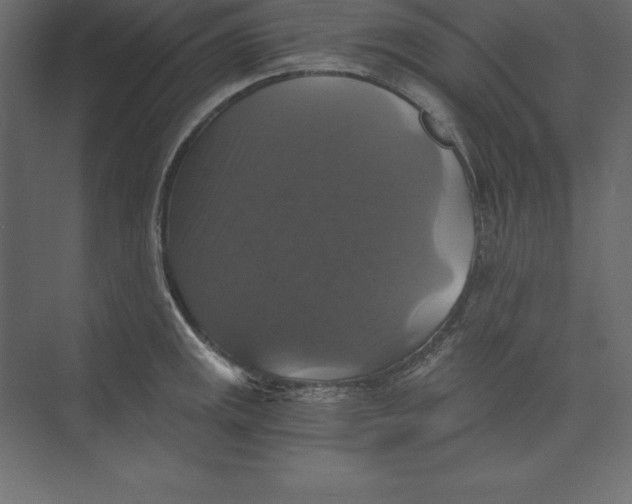 X0000073391141200608180957