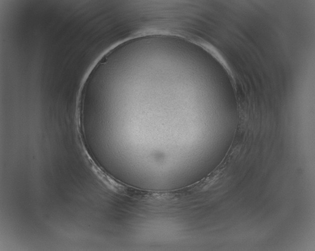 X0000073391148200608180957