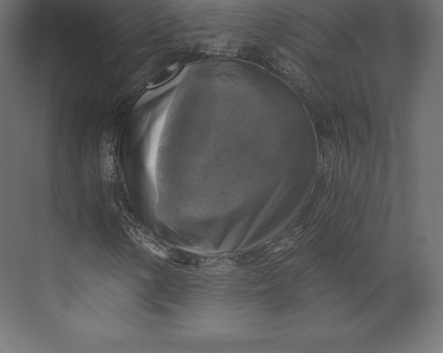 X0000073391154200608180956