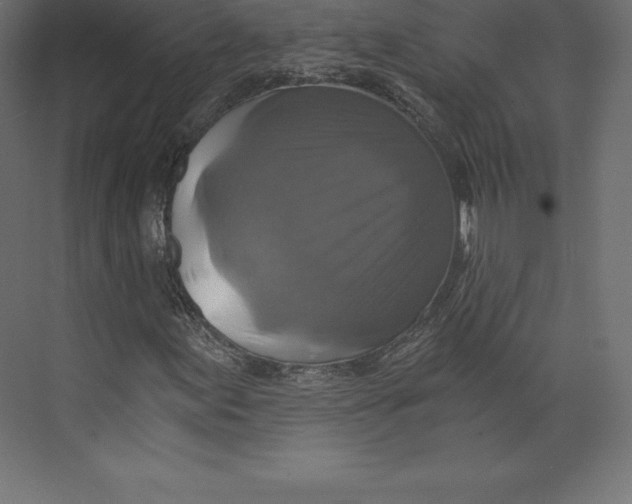 X0000073391155200608180956