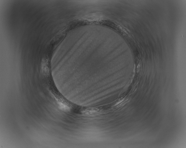 X0000073391156200608180956