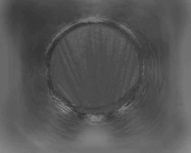 X0000073391160200608180956
