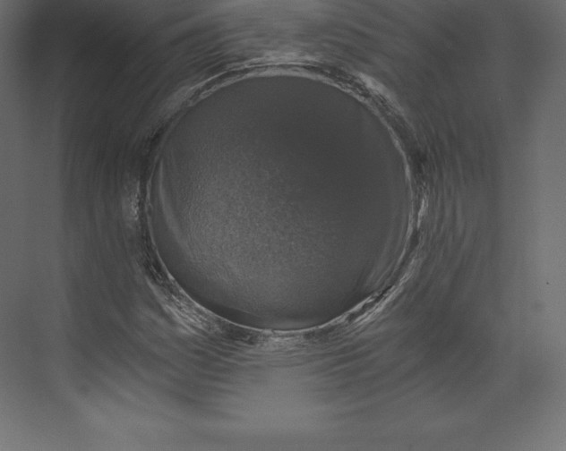 X0000073391161200608180956