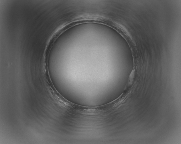 X0000073391172200608180956