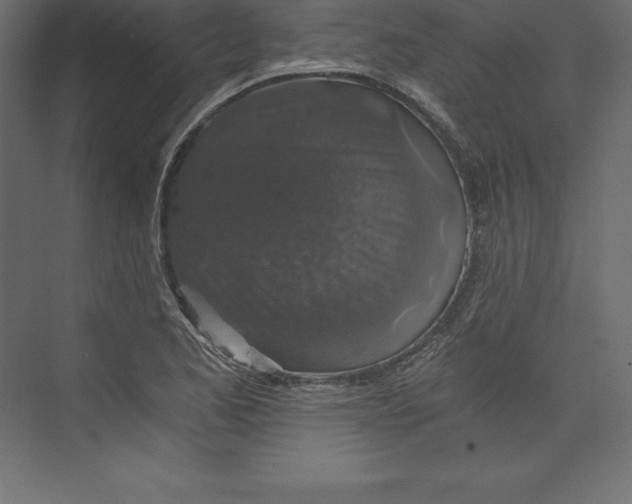 X0000073391173200608180956