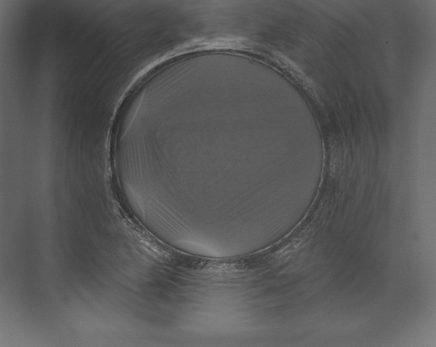 X0000073391174200608180956