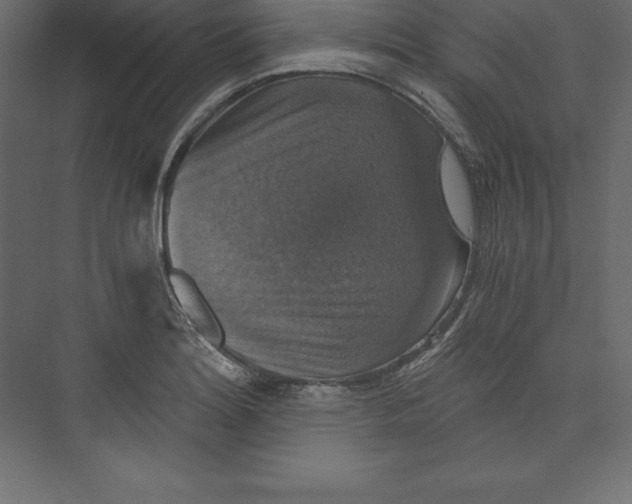 X0000073391180200608180955