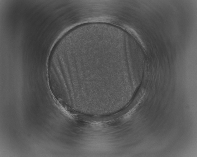 X0000073391184200608180955