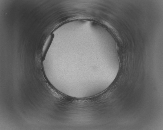 X0000073391185200608180955